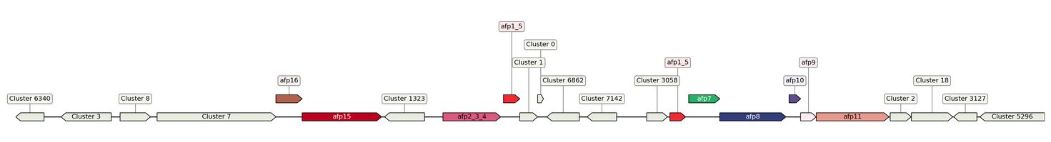 ecis_web_first_app/static_ims/operonID_45538.jpeg