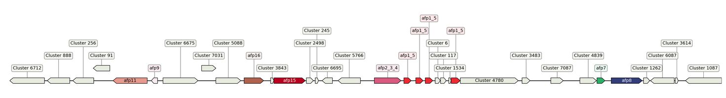 ecis_web_first_app/static_ims/operonID_47059.jpeg