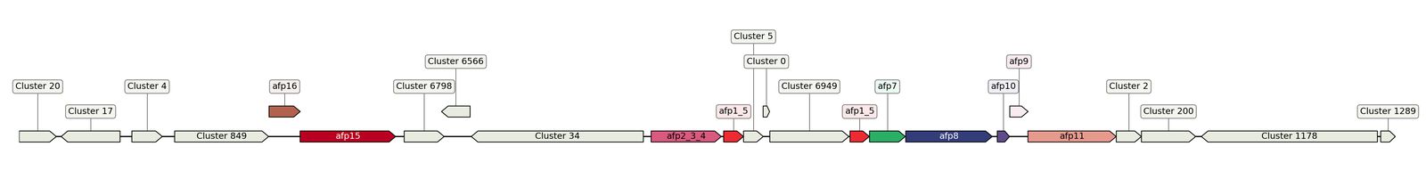 ecis_web_first_app/static_ims/operonID_47296.jpeg