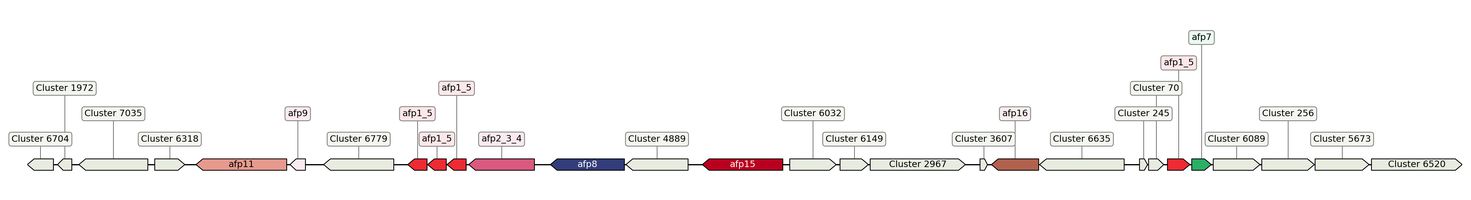 ecis_web_first_app/static_ims/operonID_66663.jpeg