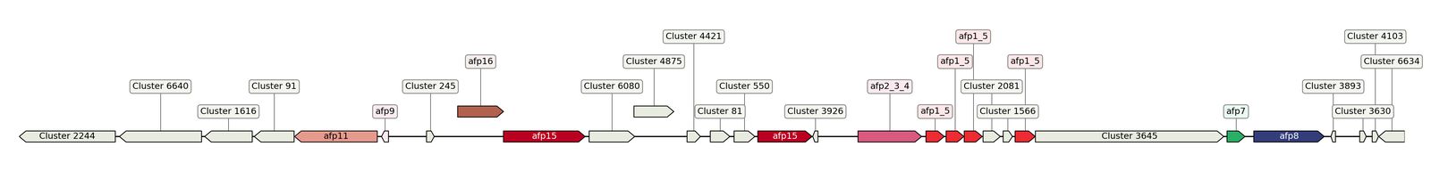 ecis_web_first_app/static_ims/operonID_67377.jpeg