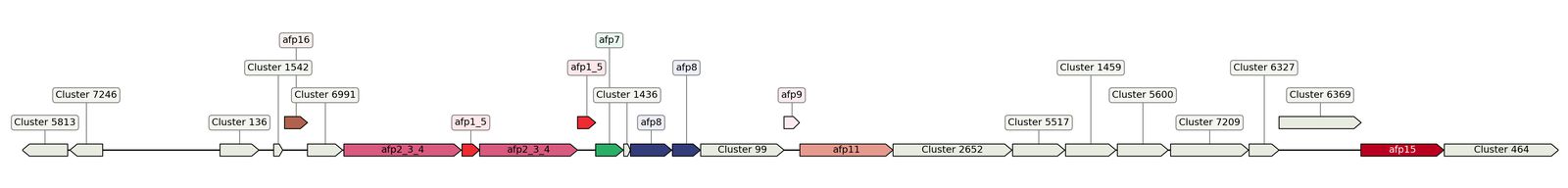 ecis_web_first_app/static_ims/operonID_7615.jpeg