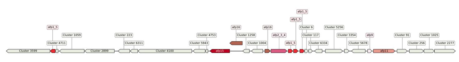 ecis_web_first_app/static_ims/operonID_885.jpeg