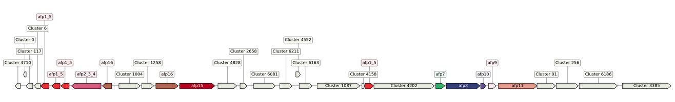 ecis_web_first_app/static_ims/operonID_939.jpeg